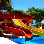 Orange Paradise