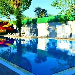 Orange Paradise